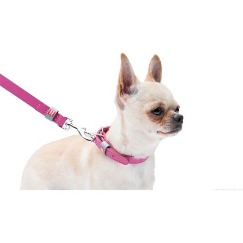 Нашийник для тварин WAUDOG Classic шкіряний 12 мм х 19-25 см рожевий (02017)