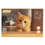 Альбом для малювання ZiBi А4 CATS&DOGS, 16 аркушів на скобі (ZB.1422-22)