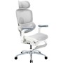 Офісне крісло Sihoo C300 LITE V2, White, з підставкою для ног (C300-LITE-V2-B102-JT)