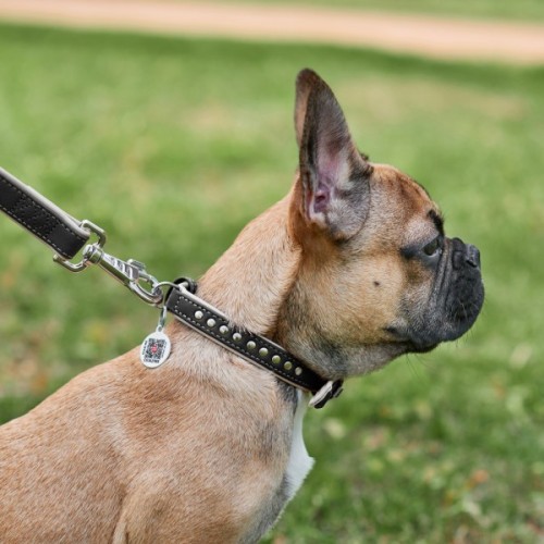 Нашийник для тварин WAUDOG Soft з QR паспортом, металеві прикраси S Ш 20 мм Д 30-39 см (7196)