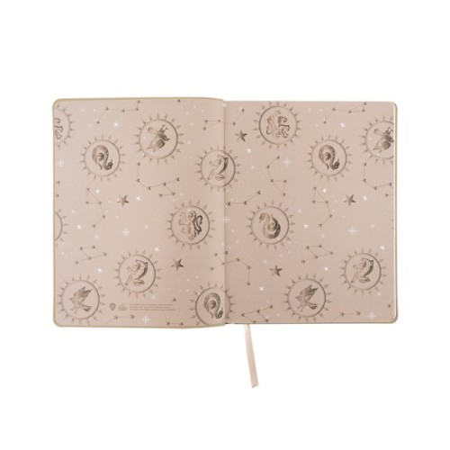 Щоденник шкільний Kite Harry Potter, м'яка обкладинка (HP25-283)