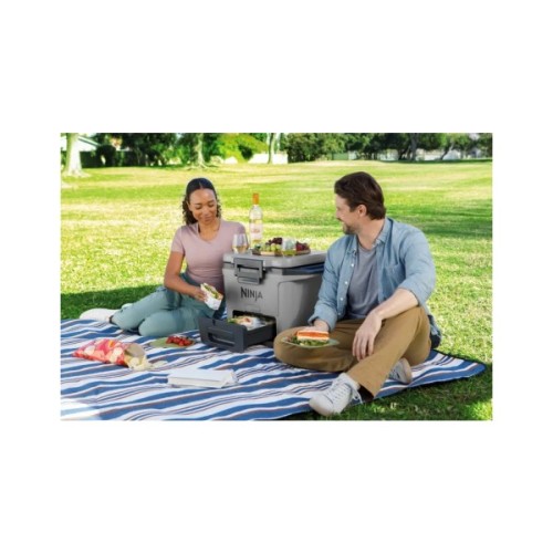 Термобокс Ninja FrostVault 28L Hard Cooler Grey (FB131EUGY)