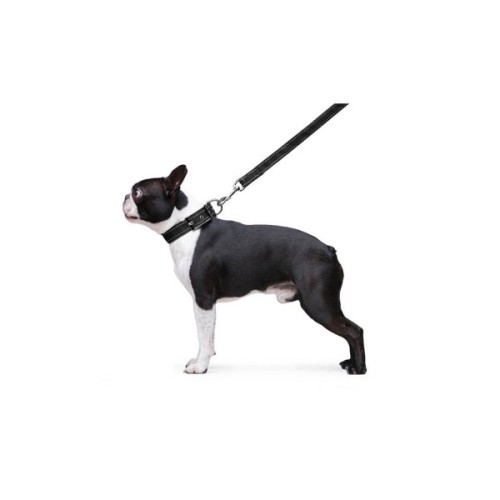 Повідець для собак Dog Extreme з нейлону подвійний Ш 20 мм Д 122 см чорний (42981)