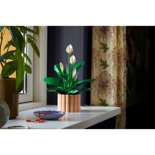 Конструктор LEGO Botanicals Спатифілум (11504)