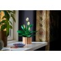 Конструктор LEGO Botanicals Спатифілум (11504)