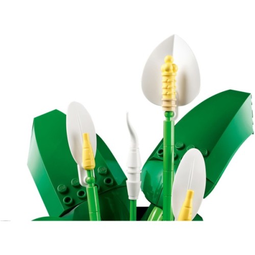 Конструктор LEGO Botanicals Спатифілум (11504)