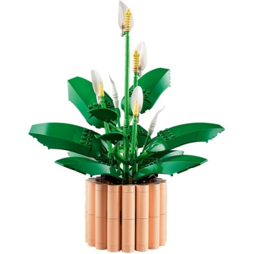 Конструктор LEGO Botanicals Спатифілум (11504)