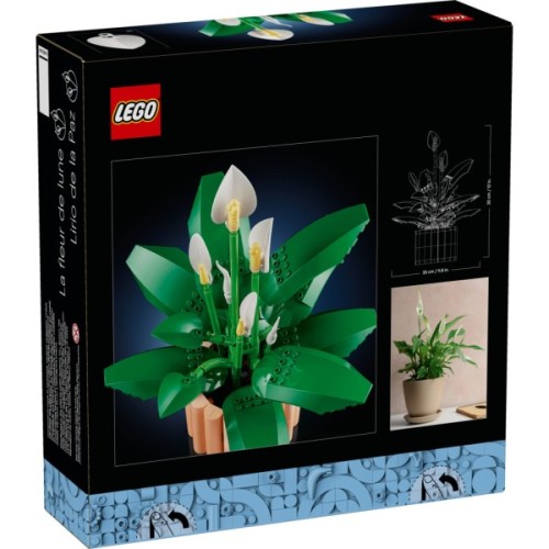 Конструктор LEGO Botanicals Спатифілум (11504)