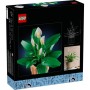 Конструктор LEGO Botanicals Спатифілум (11504)