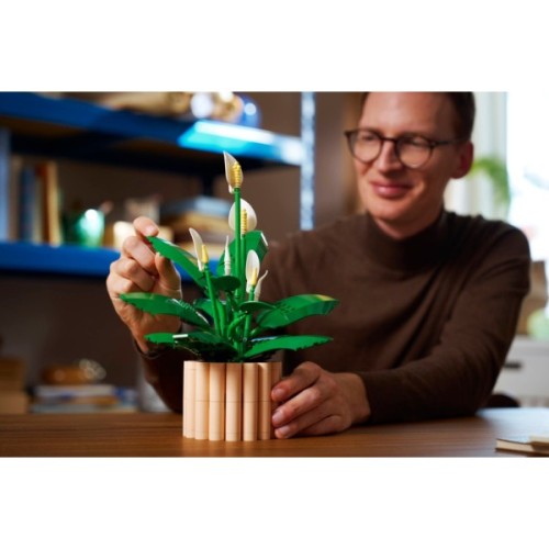 Конструктор LEGO Botanicals Спатифілум (11504)