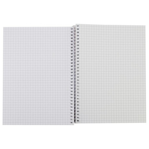Блокнот Maxi А5, пластикова обкладинка, спіраль, 80 арк., клітинка (MX21950-01)