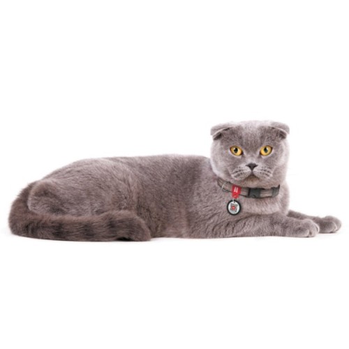 Нашийник для тварин WAUDOG Re-cotton з QR паспортом для котів та дрібних порід собак XS коричневий (16406)