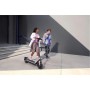 Електросамокат Segway Ninebot E3, сірий (AA.05.19.01.0003)