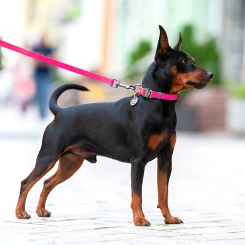 Повідець для собак WAUDOG Waterproof S Ш 15 мм Д 305 см рожевий (27387)