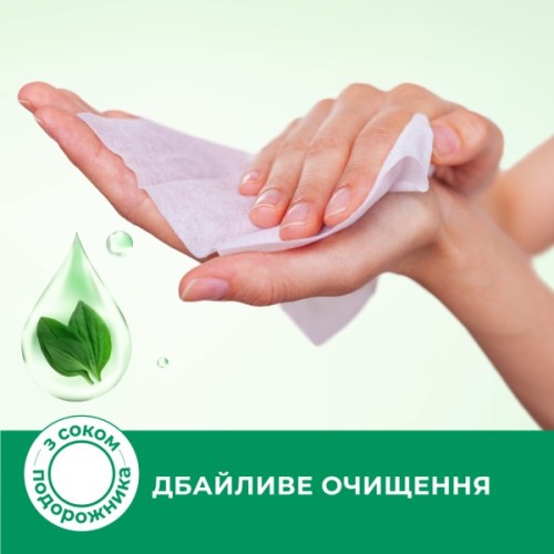 Вологі серветки Smile Antibacterial З соком подорожника 8 шт. (4823071662405)