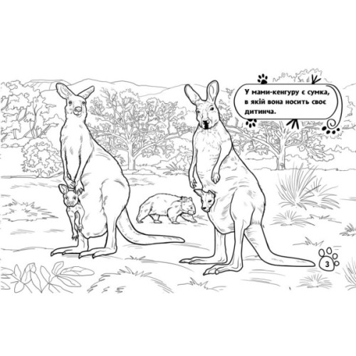 Книга Тварини з далеких країв - О.І. Сидоренко Ранок (9789667515089)