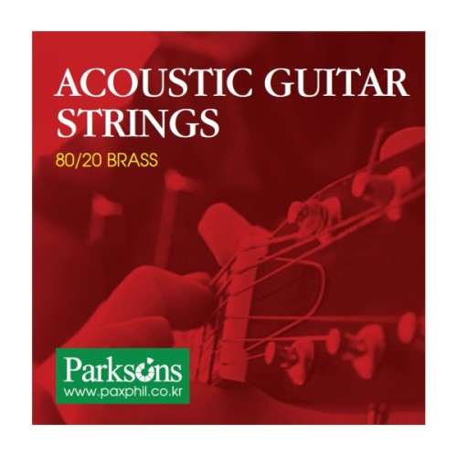 Струни для гітари Parksons Acoustic XL (10-48) (S1048)