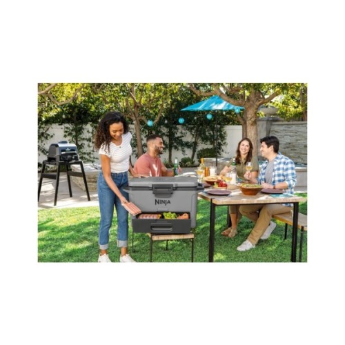 Термобокс Ninja FrostVault 47L Hard Cooler Grey (FB151EUGY)