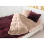 Постільна білизна MirSon Велюр Winter Frost 28-0004 + 28-0002 Adenium Velvet 220х240 (2200004006222)