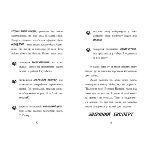 Книга Тото. Кішка-ніндзя і КОТОстрофа суперзірки. Книга 3 - Дермот О'Лірі Ранок (9786170974334)