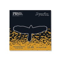 Струни для гітари PRS Signature David Grissom Guitar Strings (11-49) (100148004001004)