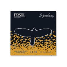 Струни для гітари PRS Signature David Grissom Guitar Strings (11-49) (100148004001004)
