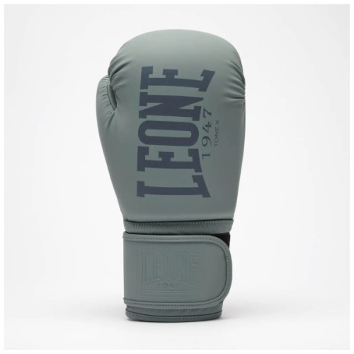 Боксерські рукавички Leone GN058 Tone X Light grey 16 oz (GN058_Light_grey_16oz)