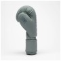Боксерські рукавички Leone GN058 Tone X Light grey 16 oz (GN058_Light_grey_16oz)