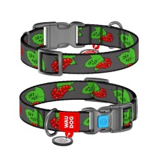 Нашийник для тварин WAUDOG Nylon з QR паспортом "Калина" пластиковий фастекс XL (4504-0228)