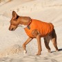 Жилет для тварин Pet Fashion "E.Vest" XL помаранчевий (4823082424344)