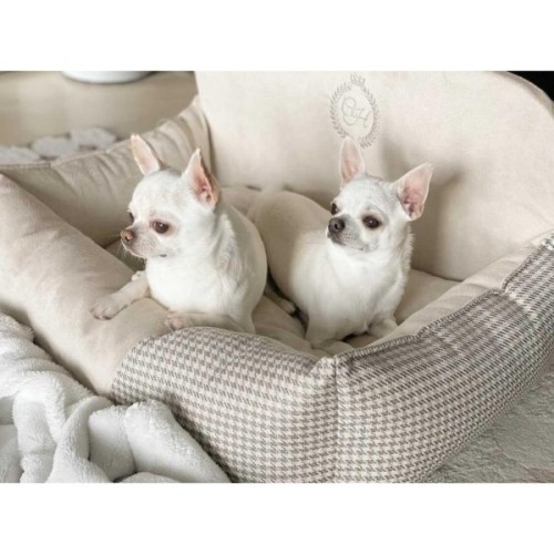 Автомобільне крісло для тварин Chloe's Home Berlin подвійне 68х48 см бежеве (CLH4913)