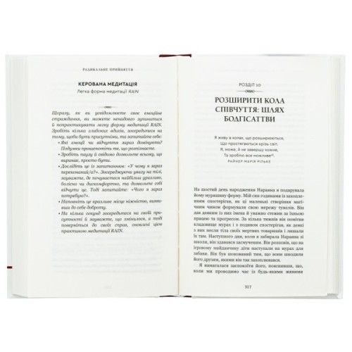 Книга Радикальне прийняття. Любов до себе, що звільнить від страху, сумнівів і тривог - Тара Брах BookChef (9786175482841)