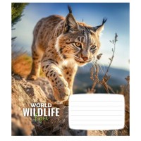 Зошит Школярик Wildlife 12 аркушів клітинка (012-3679K)