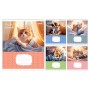 Зошит 1 вересня Pets Frinds А5 12 аркушів лінія (768067)