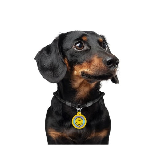 Адресник для тварин WAUDOG Smart ID з QR паспортом "Смайли на блакитному", коло 25 мм (225-0182)