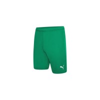 Шорти Puma teamRISE Short 704942-05 зелений L (4063699209846)