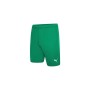 Шорти Puma teamRISE Short 704942-05 зелений L (4063699209846)