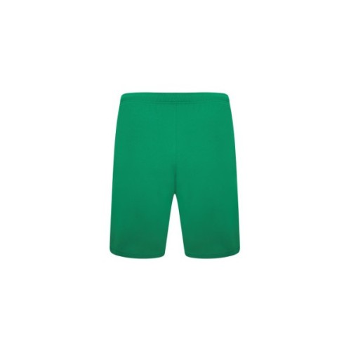 Шорти Puma teamRISE Short 704942-05 зелений L (4063699209846)