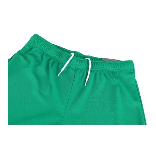 Шорти Puma teamRISE Short 704942-05 зелений L (4063699209846)
