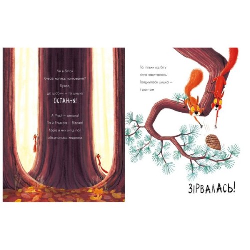 Книга Дві білки і шишка з гілки - Рейчел Брайт Ранок (9786170977427)