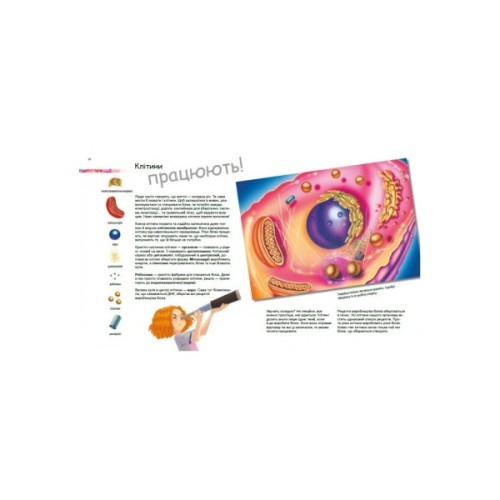 Книга Дивовижний світ клітин - Патрік А. Боерле Ранок (9786170969897)