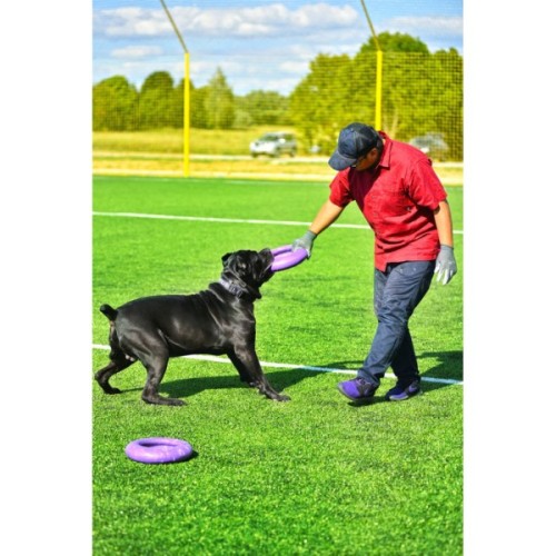 Іграшка для собак Puller Maxi 30 см (6492)