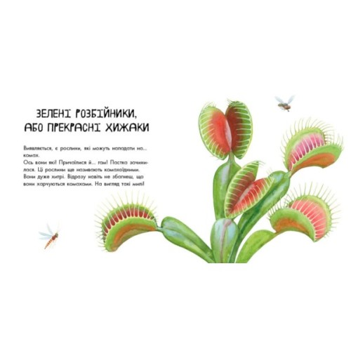 Книга Про рослини - Наталія Чуб Ранок (9786170947635)