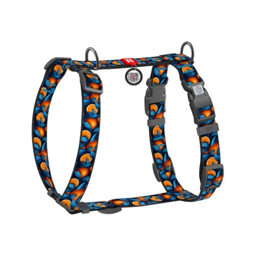 Шлея для собак WAUDOG H-подібна анатомічна Nylon з QR адресником "Апельсини" пластиковий фастекс S (343-4054)