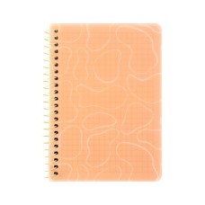 Блокнот Axent на спіралі B6 80 аркушів, клітинка, пластикова обкладинка, помаранчевий (8463-3-A)