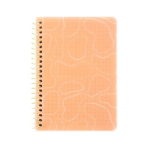 Блокнот Axent на спіралі B6 80 аркушів, клітинка, пластикова обкладинка, помаранчевий (8463-3-A)