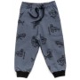Штани дитячі Breeze спортивні на флісі (16694-92B-gray)