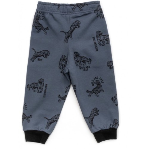 Штани дитячі Breeze спортивні на флісі (16694-92B-gray)