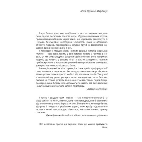 Книга Під вулканом - Малкольм Лаурі Фабула (9786170967589)