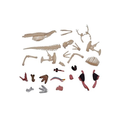 Пазл 4D Master Master Тиранозавр (FM-622013)